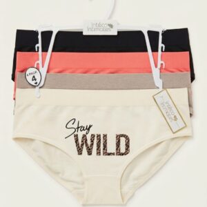 Stay Wild Women's Nylon Spandex Panties – Pack of 4